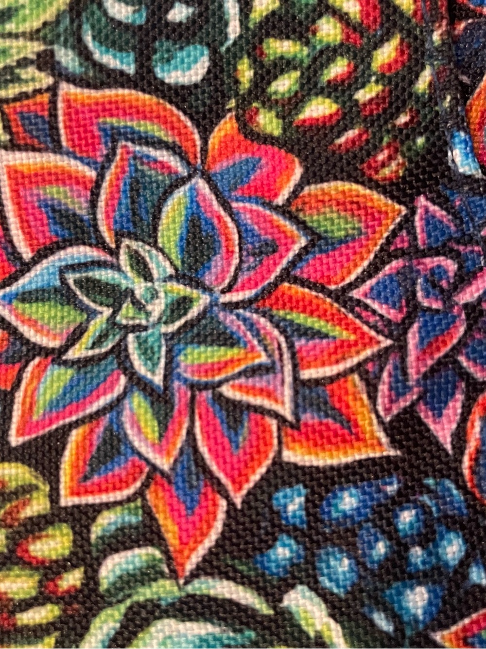Sipsey Wilder Multicolor Succulent Print Crossbody Bag - Picture 2 of 8